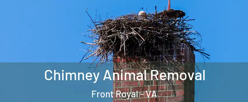  Chimney Animal Removal Front Royal - VA