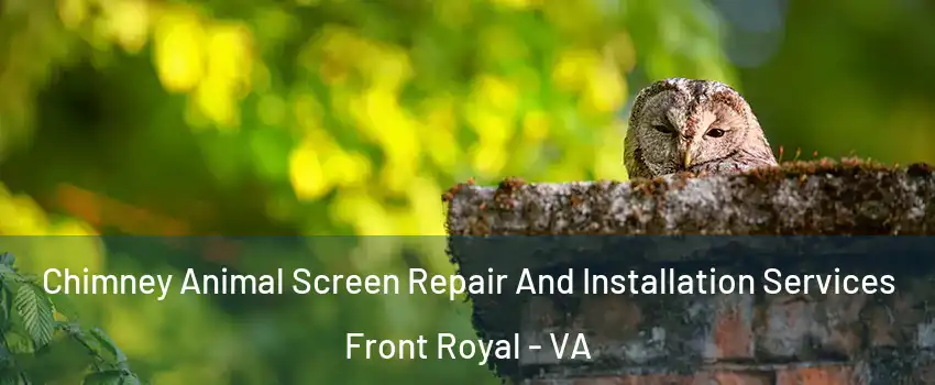  Chimney Animal Screen Repair And Installation Services Front Royal - VA