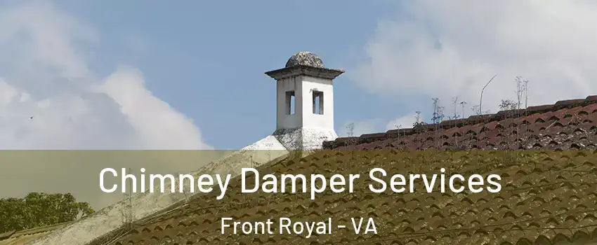  Chimney Damper Services Front Royal - VA