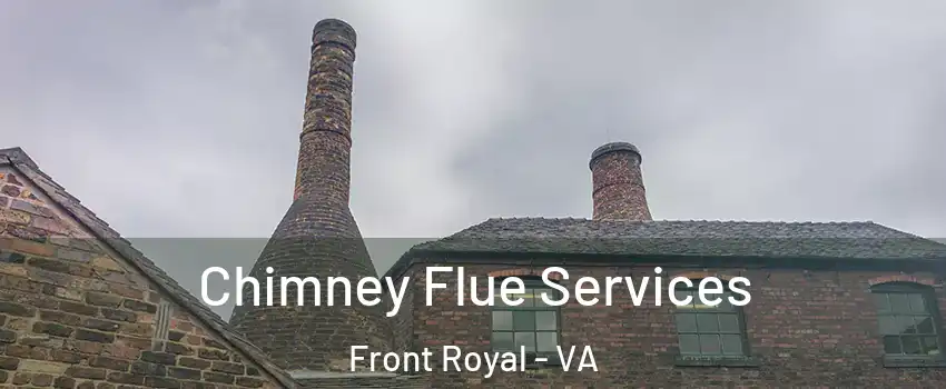  Chimney Flue Services Front Royal - VA