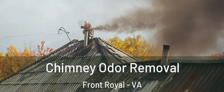  Chimney Odor Removal Front Royal - VA