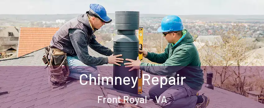  Chimney Repair Front Royal - VA