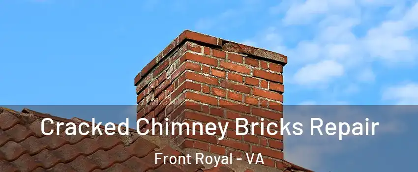  Cracked Chimney Bricks Repair Front Royal - VA