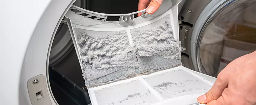 Best Dryer Lint Removal Company in Front Royal, Virginia