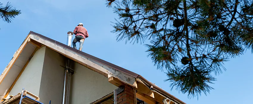 Birds Removal Contractors from Chimney in Front Royal, VA