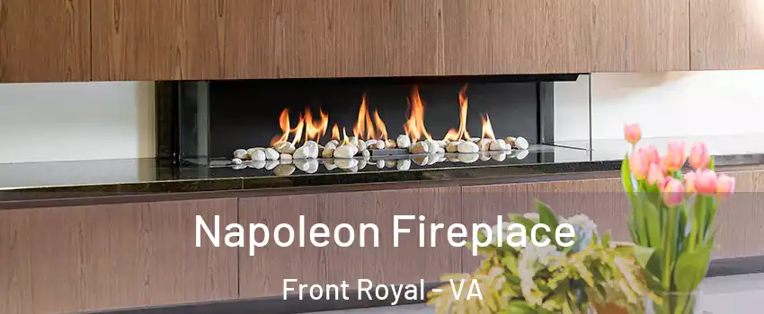  Napoleon Fireplace Front Royal - VA